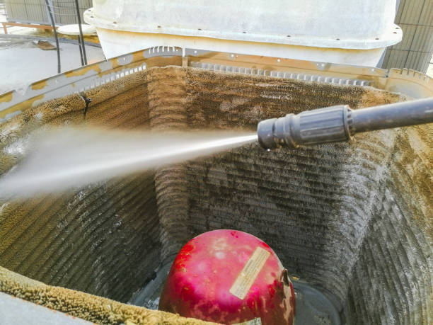Best Air Duct Mold Removal  in Reform, AL