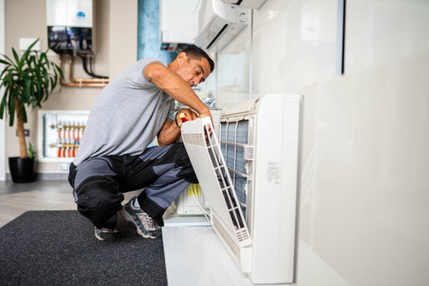 Air Duct Mold Removal in Reform, AL