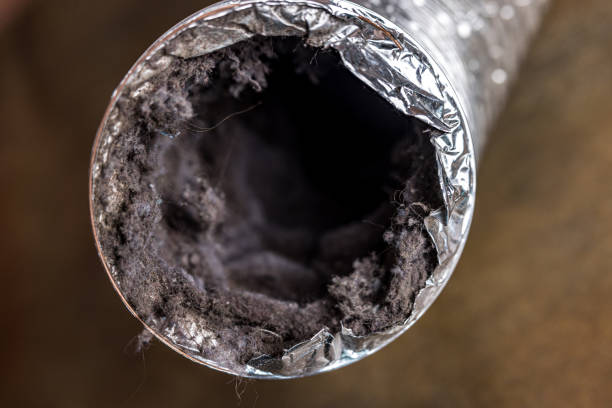 Best Air Duct Cleaning Near Me in Reform, AL