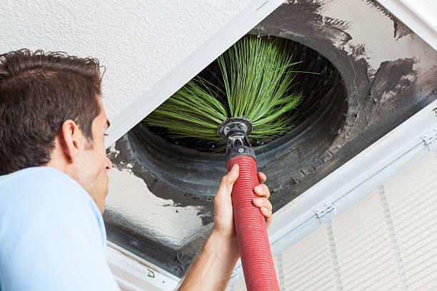 Best Professional Duct Cleaning Services  in Reform, AL